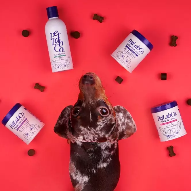 Petlab Co. Avis - doit lire ceci avant d'acheter