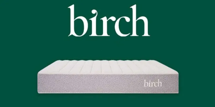 Birch Living Avis