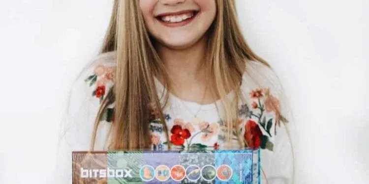 Bitsbox Avis