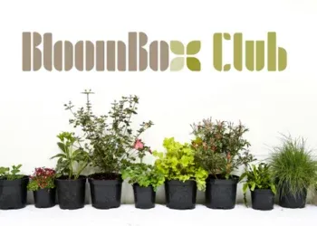 Bloombox Club avis