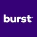 Burst Electric Dething Brush