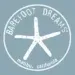Barefoot Dreams Avis