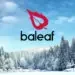 Baleaf Avis