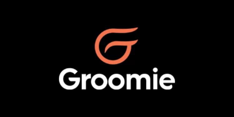 Groomie Shaver Avis