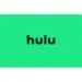 Hulu Avis