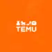 Avis Temu