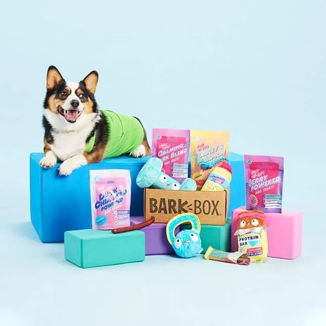 Barkbox Avis