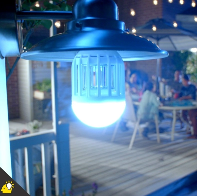 Avis de tête de bulb - doit lire ceci avant d'acheter