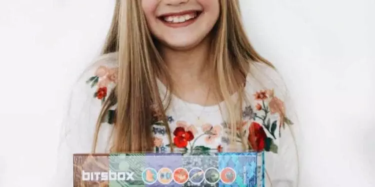 Bitsbox Avis