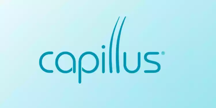 capillus avis