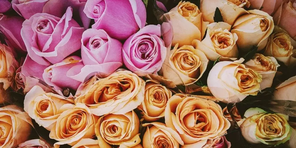 Bouqs Flowers Avis