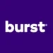Burst Electric Dething Brush