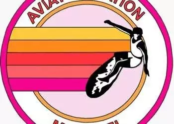 Aviator Nation Avis