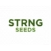 STRNG Seeds Avis