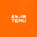 Avis Temu